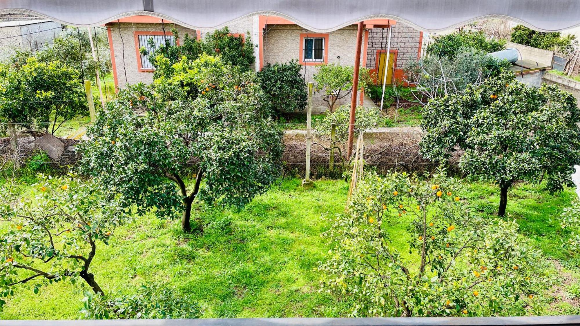 Mia Guest House - Entire Home With Balcony & Garden Divjake Exterior photo